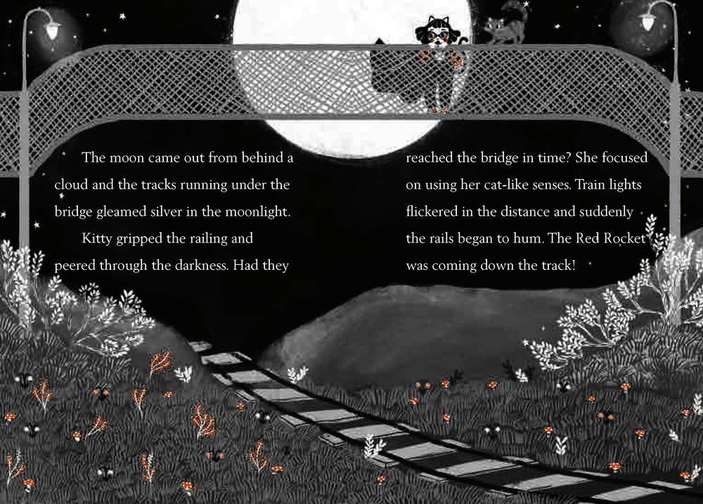Kitty and the Runaway Train: Paperback