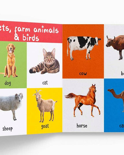 Educational card with images of pets, farm animals, and birds on a white background