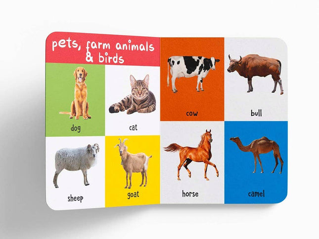 Educational card with images of pets, farm animals, and birds on a white background
