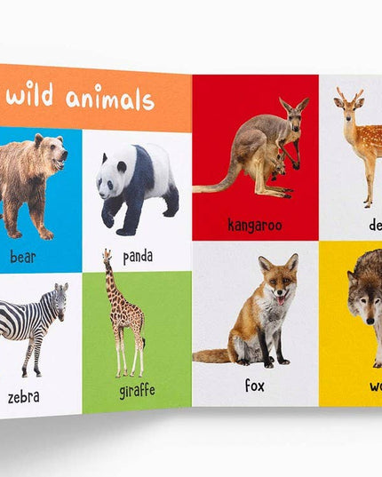 Educational card with images of wild animals and their names on a white background