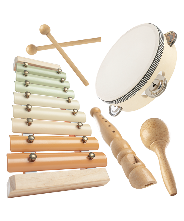 Set of wooden musical instruments including xylophone, tambourine, and maracas on a white background