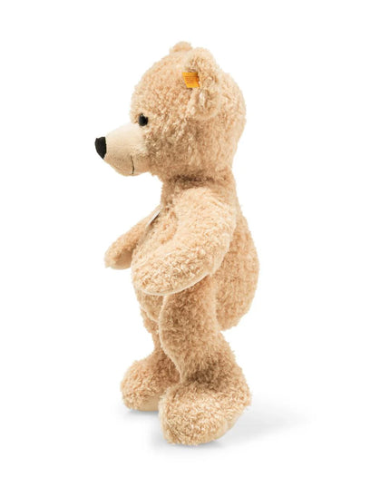 Stuffed teddy bear on a white background