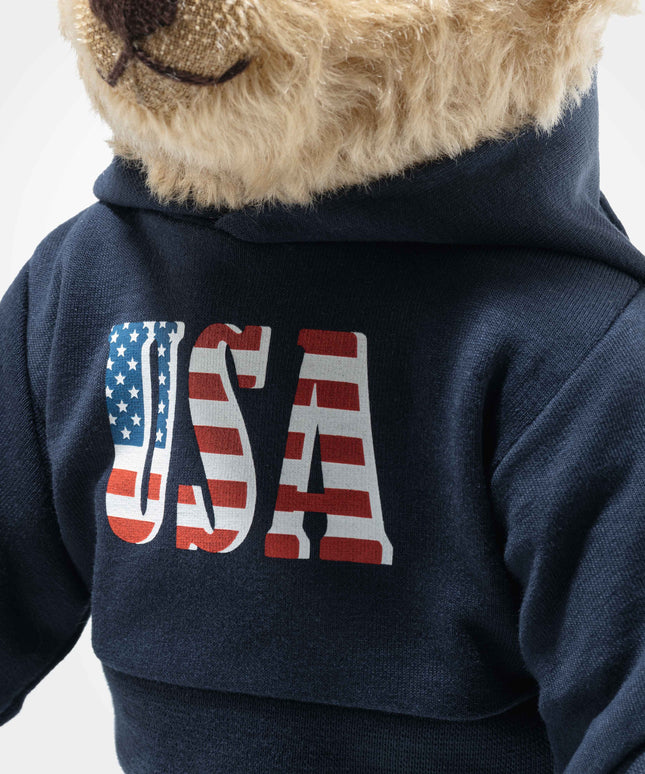 Teddy bear wearing a navy blue hoodie with 'USA' and an American flag design on a white background