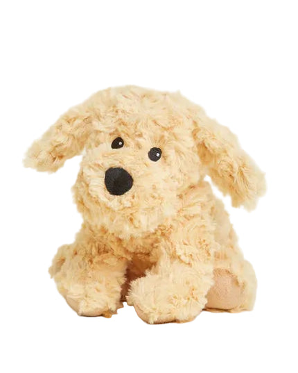 Junior Golden Dog Warmie on white background