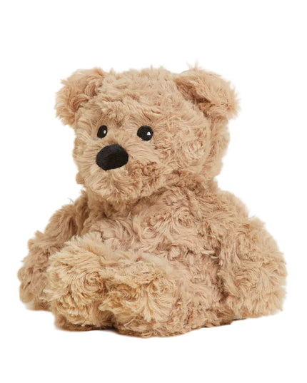 Plush teddy bear on a white background