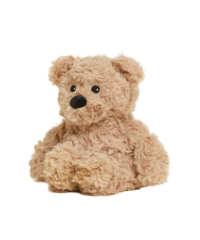 Plush teddy bear on a white background
