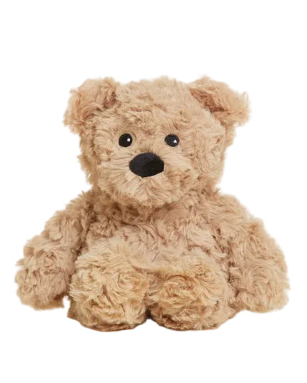 Plush teddy bear on a white background