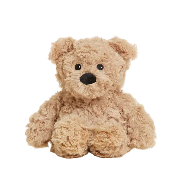 Plush teddy bear on a white background
