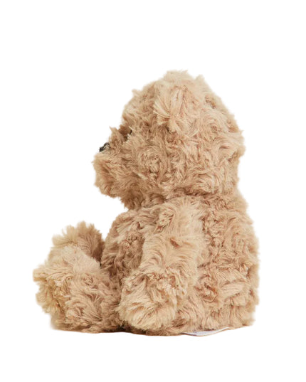 Plush toy dog on a white background
