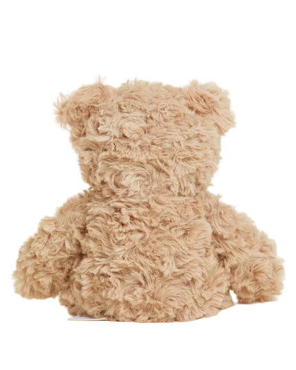 Beige teddy bear on a white background