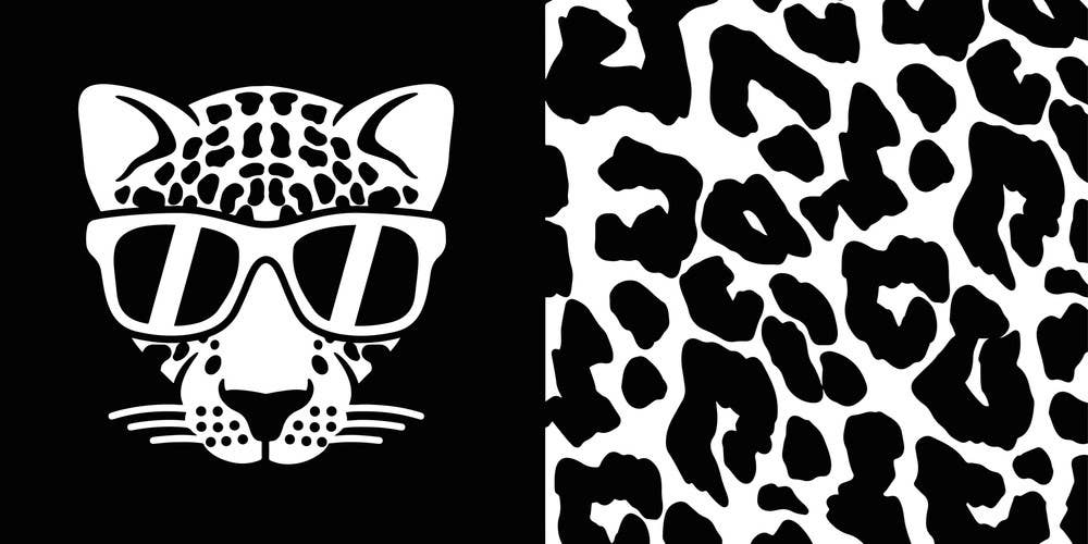 Contrast Book of Cool Animals: Children's Board Book