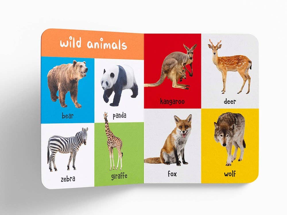 My First 100 Animals And Birds Childrens Board Book