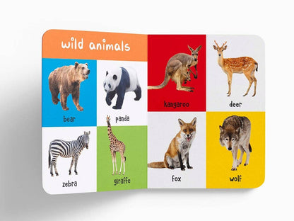 My First 100 Animals And Birds Childrens Board Book