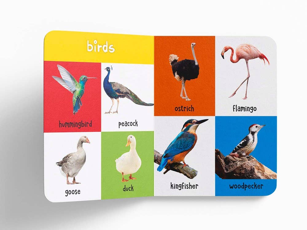 My First 100 Animals And Birds Childrens Board Book